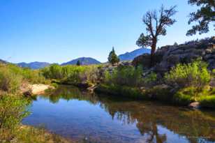 Kern River-0184.jpg